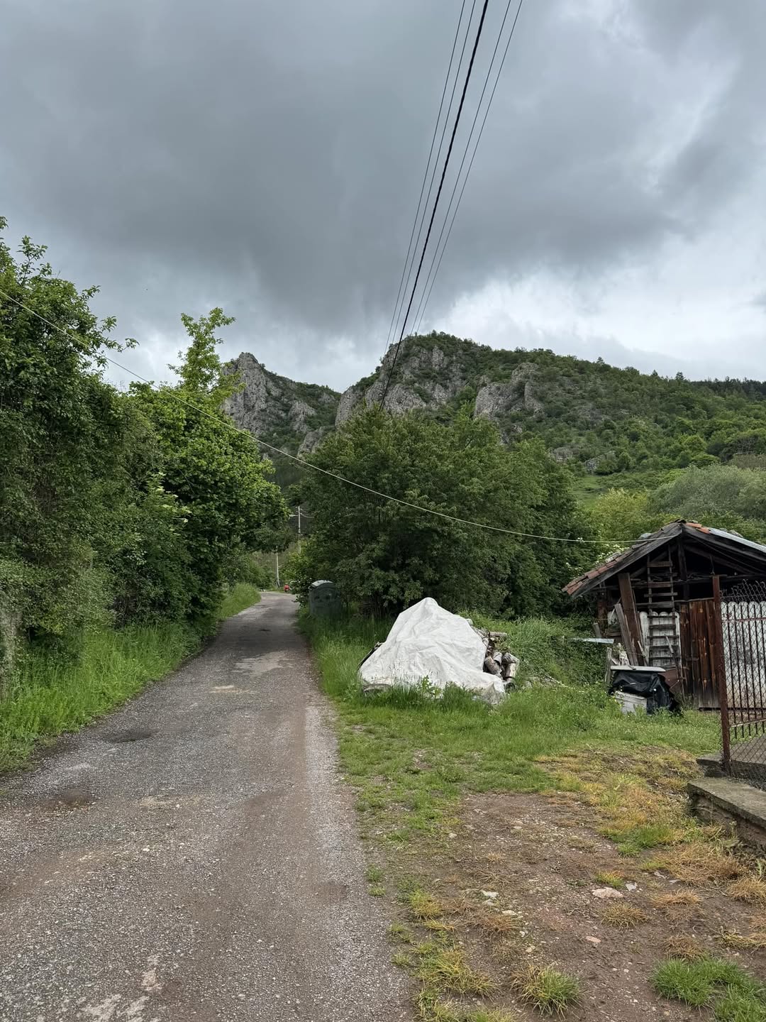 Зелен път край къщите в селото